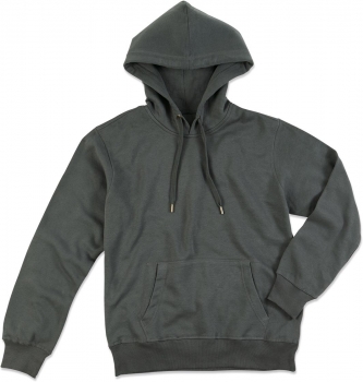 Herren Kapuzen Sweater (Active Sweat Hoody)