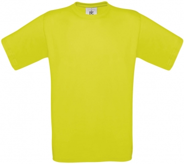 Heavy T-Shirt (Exact 190)