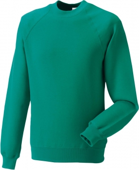 Raglan Sweater (762M)