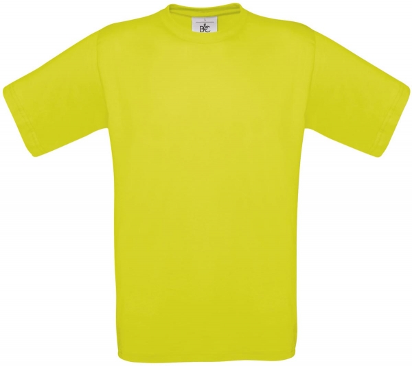 Heavy T-Shirt (Exact 190)